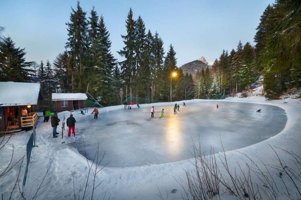 https://www.montreuxriviera.com/en/P5220/ice-rink-of-caux